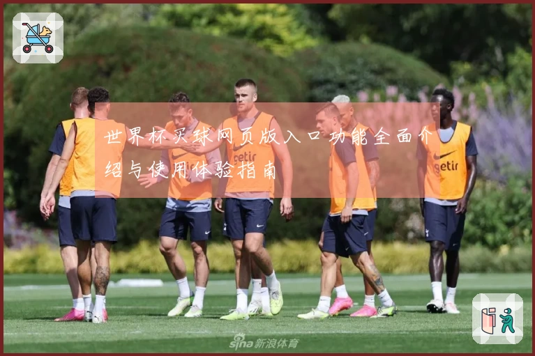 世界杯买球网页版入口功能全面介绍与使用体验指南