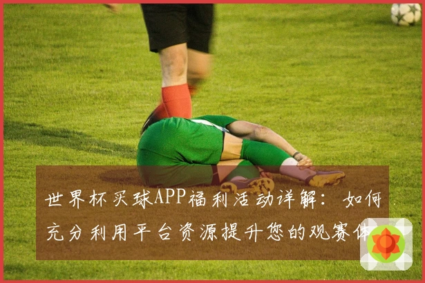 世界杯买球APP福利活动详解：如何充分利用平台资源提升您的观赛体验