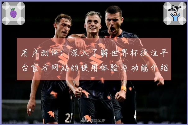 用户测评：深入了解世界杯投注平台官方网站的使用体验与功能介绍
